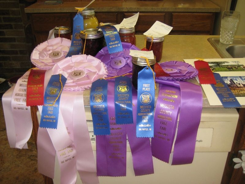 Fair Ribbons 2013 photo IMG_1825.jpg